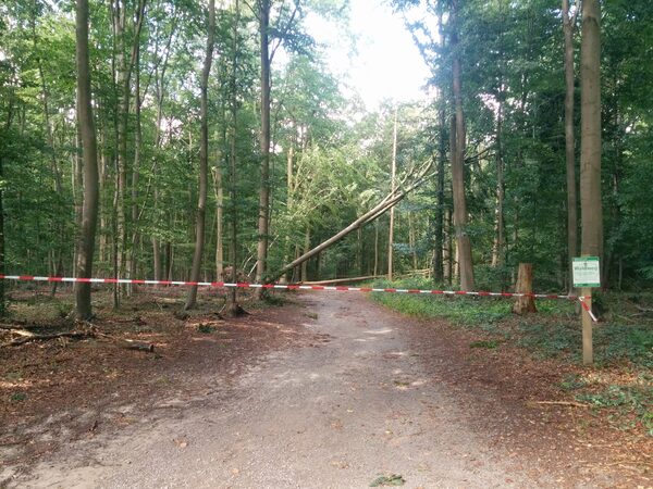 Sturmböe zieht über Stadtgebiet Syke – Bild 2