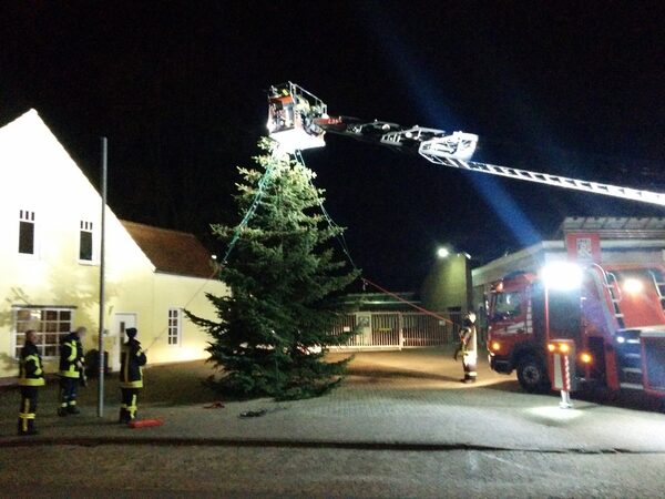 Weihnachtsbäume geschmückt – Bild 1
