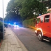 20170622_00717_Umgestuerzter_Baum