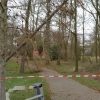 20190307_00912_Sturmschaden
