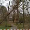 20190307_00912_Sturmschaden