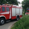 20190608_Baum_auf_Strasse